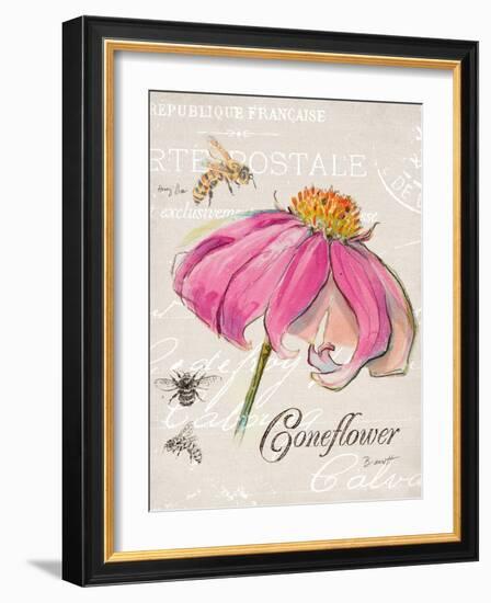 Sketchbook Coneflower-Chad Barrett-Framed Art Print