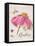 Sketchbook Coneflower-Chad Barrett-Framed Stretched Canvas