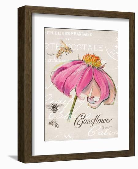 Sketchbook Coneflower-Chad Barrett-Framed Premium Giclee Print