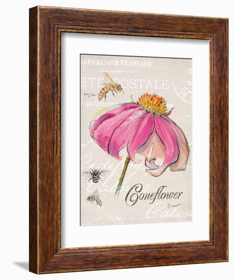 Sketchbook Coneflower-Chad Barrett-Framed Premium Giclee Print