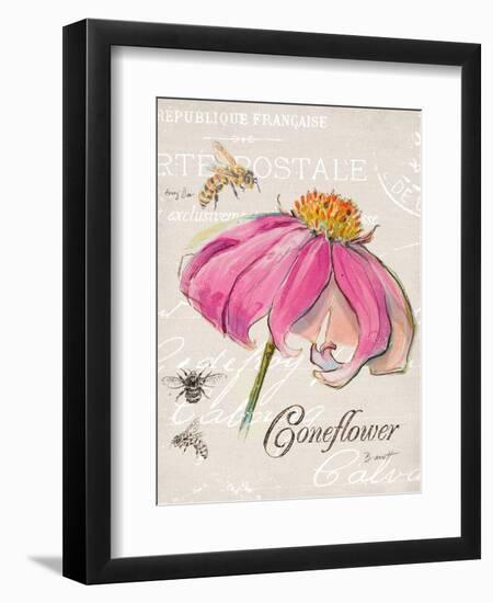 Sketchbook Coneflower-Chad Barrett-Framed Premium Giclee Print