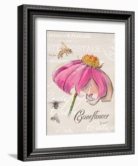 Sketchbook Coneflower-Chad Barrett-Framed Premium Giclee Print