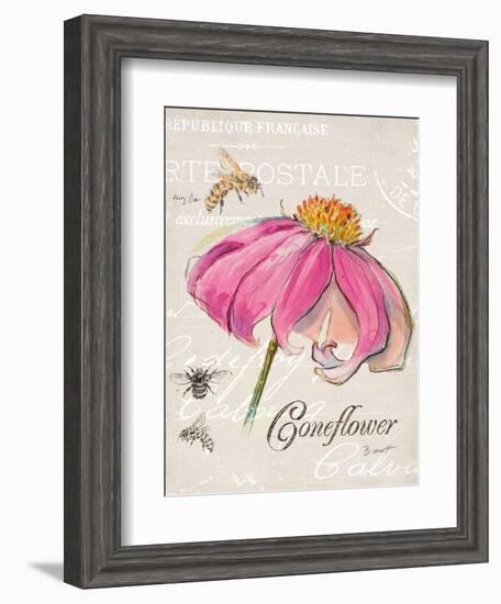 Sketchbook Coneflower-Chad Barrett-Framed Art Print