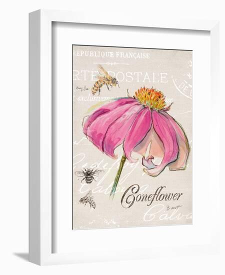 Sketchbook Coneflower-Chad Barrett-Framed Art Print