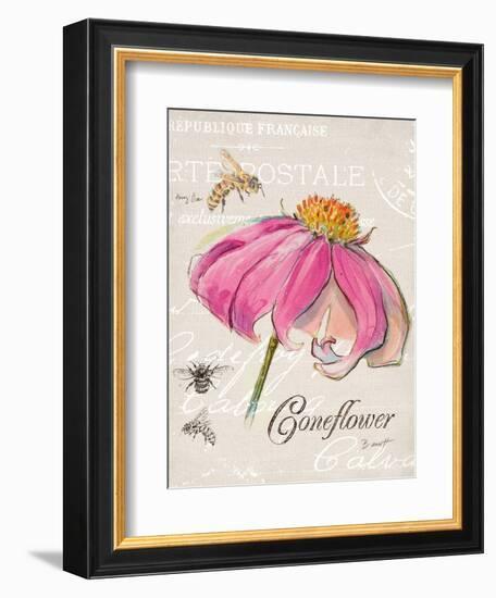 Sketchbook Coneflower-Chad Barrett-Framed Art Print