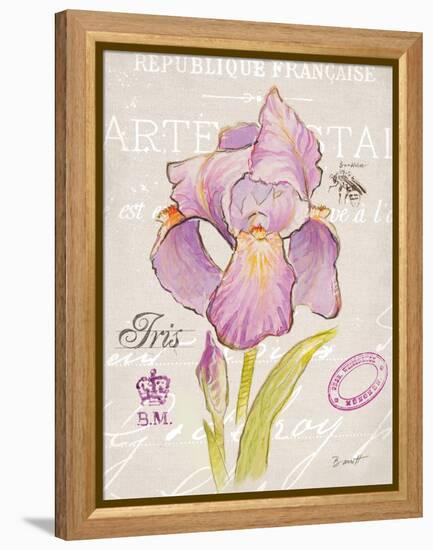 Sketchbook Iris-Chad Barrett-Framed Stretched Canvas