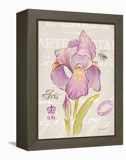 Sketchbook Iris-Chad Barrett-Framed Stretched Canvas