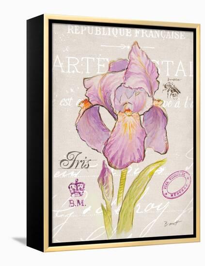 Sketchbook Iris-Chad Barrett-Framed Stretched Canvas