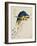 Sketchbook Macaw I-Edward Lear-Framed Giclee Print