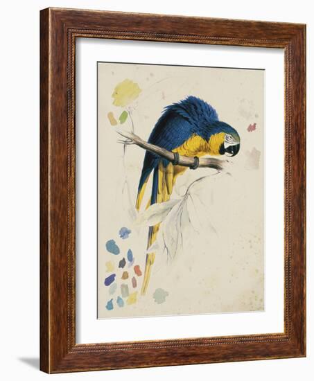 Sketchbook Macaw I-Edward Lear-Framed Giclee Print