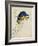 Sketchbook Macaw I-Edward Lear-Framed Giclee Print