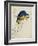 Sketchbook Macaw I-Edward Lear-Framed Giclee Print