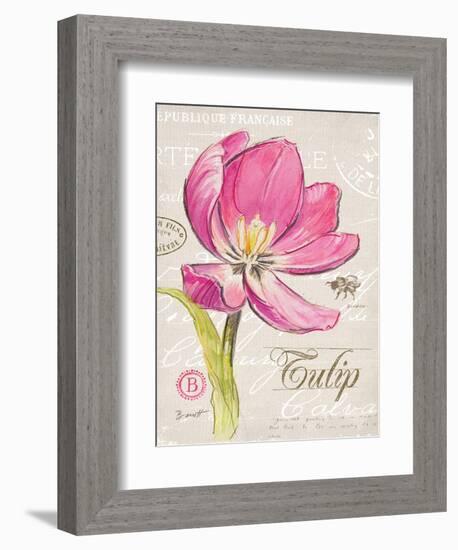 Sketchbook Tulip-Chad Barrett-Framed Art Print