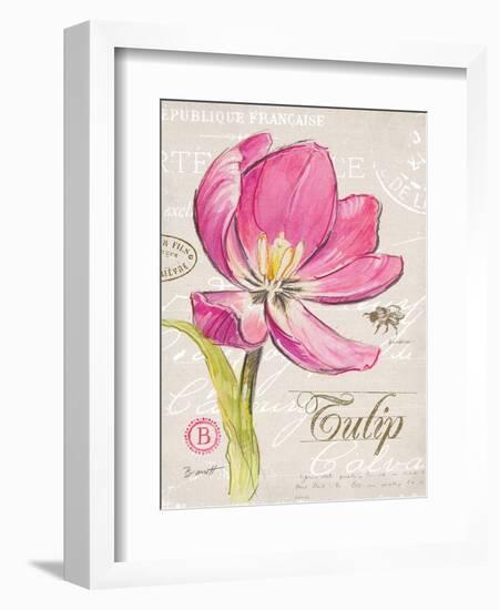 Sketchbook Tulip-Chad Barrett-Framed Art Print