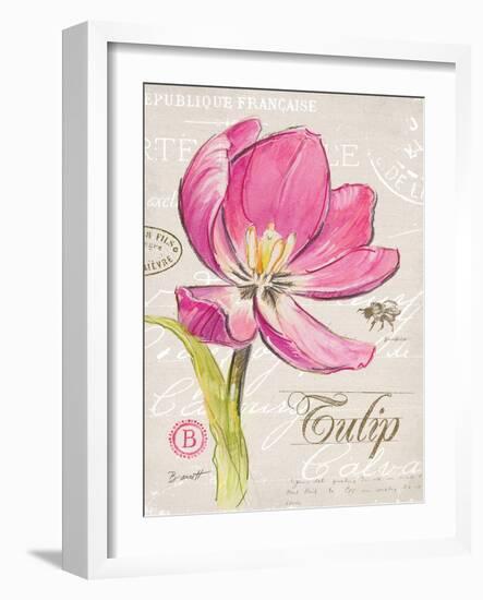 Sketchbook Tulip-Chad Barrett-Framed Art Print