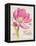 Sketchbook Tulip-Chad Barrett-Framed Stretched Canvas