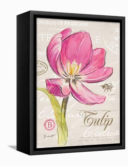 Sketchbook Tulip-Chad Barrett-Framed Stretched Canvas