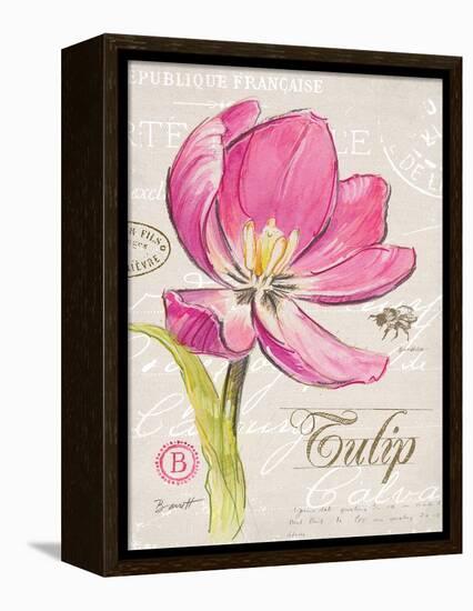 Sketchbook Tulip-Chad Barrett-Framed Stretched Canvas