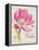 Sketchbook Tulip-Chad Barrett-Framed Stretched Canvas