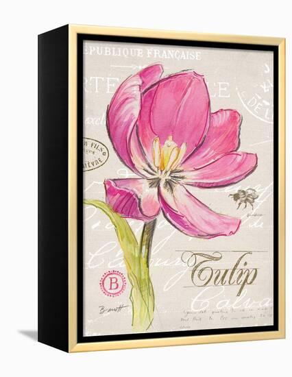 Sketchbook Tulip-Chad Barrett-Framed Stretched Canvas