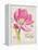 Sketchbook Tulip-Chad Barrett-Framed Stretched Canvas