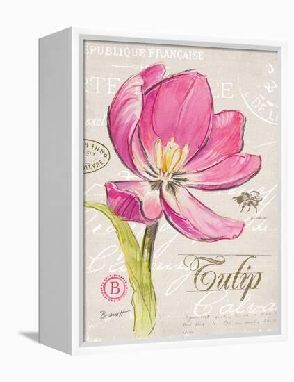 Sketchbook Tulip-Chad Barrett-Framed Stretched Canvas