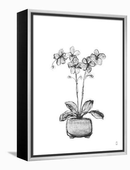 Sketched Houseplant - Bud-Manny Woodard-Framed Stretched Canvas
