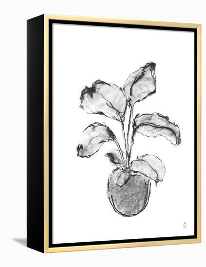 Sketched Houseplant - Rise-Manny Woodard-Framed Stretched Canvas
