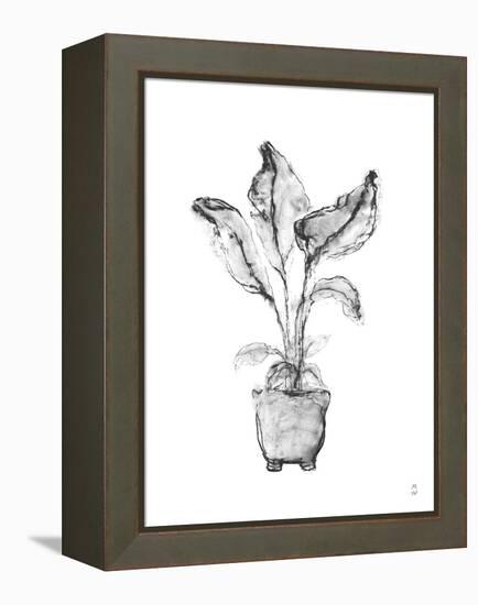 Sketched Houseplant - Shoot-Manny Woodard-Framed Stretched Canvas
