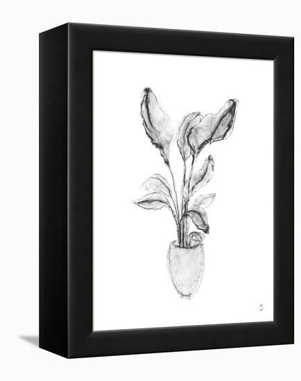 Sketched Houseplant - Sprout-Manny Woodard-Framed Stretched Canvas