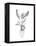 Sketched Houseplant - Sprout-Manny Woodard-Framed Stretched Canvas