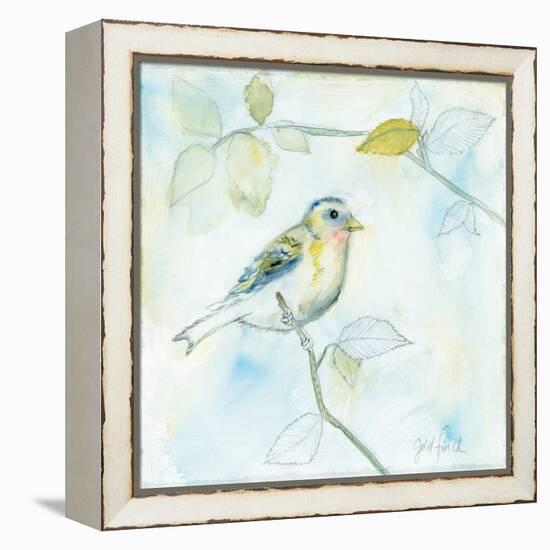 Sketched Songbird I-Sue Schlabach-Framed Stretched Canvas