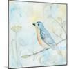 Sketched Songbird II-Sue Schlabach-Mounted Art Print