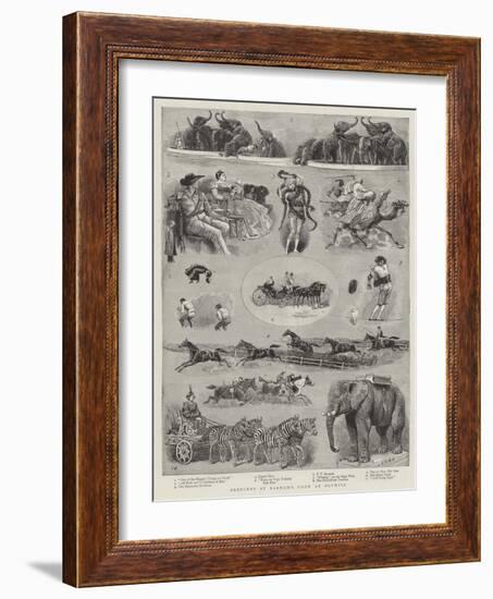 Sketches at Barnum's Show at Olympia-null-Framed Giclee Print