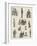 Sketches at Chelsea Hospital, Old Pensioners-William Douglas Almond-Framed Giclee Print