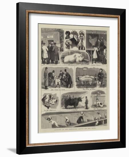Sketches at the Birmingham Cattle and Dog Shows-John Charles Dollman-Framed Giclee Print