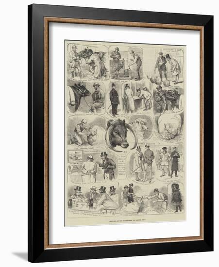 Sketches at the Birmingham Fat Cattle Show-Alfred Courbould-Framed Giclee Print