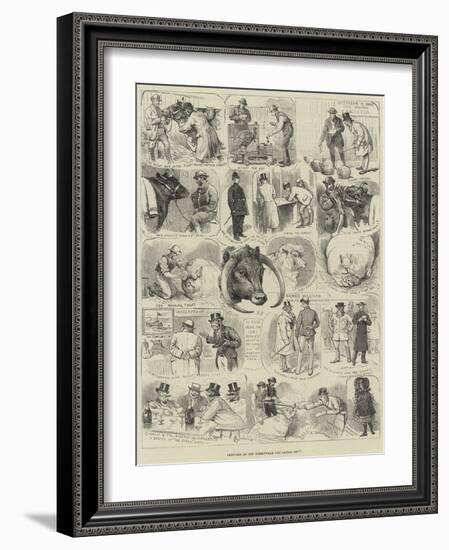 Sketches at the Birmingham Fat Cattle Show-Alfred Courbould-Framed Giclee Print