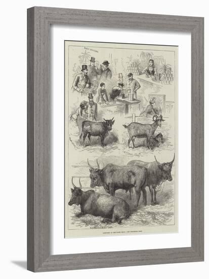 Sketches at the Dairy Show-null-Framed Giclee Print