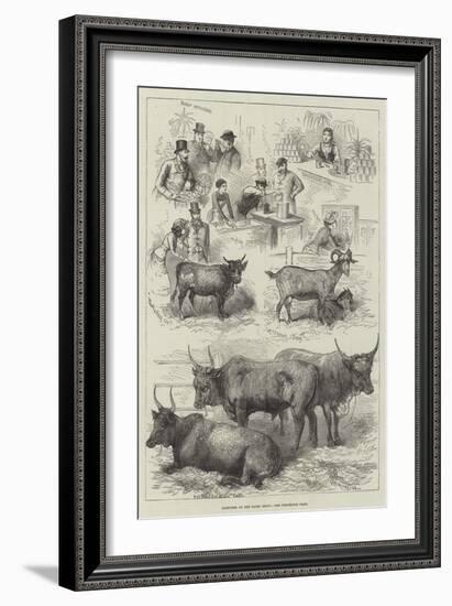 Sketches at the Dairy Show-null-Framed Giclee Print