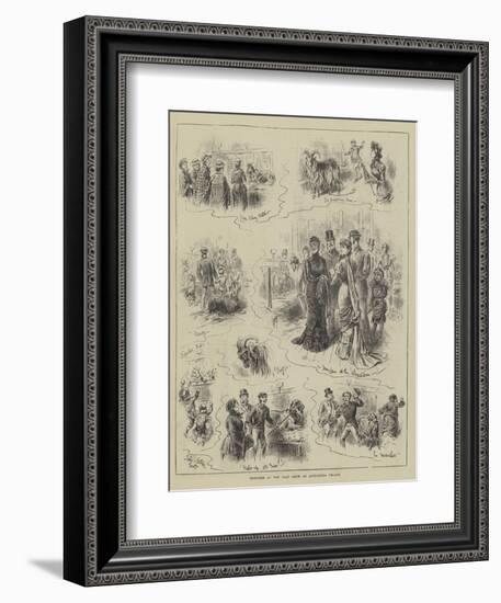 Sketches at the Goat Show at Alexandra Palace-John Jellicoe-Framed Giclee Print
