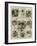 Sketches at the International Football Match, Glasgow-William Ralston-Framed Giclee Print