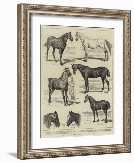 Sketches at the Islington Horse Show-Alfred Chantrey Corbould-Framed Giclee Print