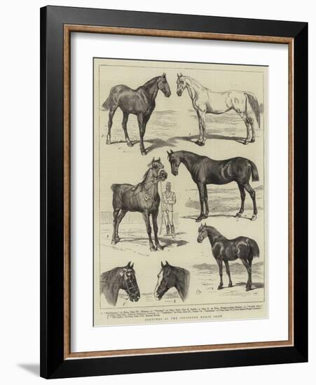 Sketches at the Islington Horse Show-Alfred Chantrey Corbould-Framed Giclee Print