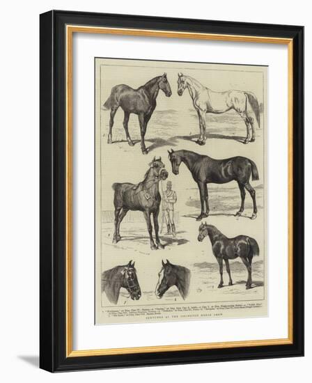 Sketches at the Islington Horse Show-Alfred Chantrey Corbould-Framed Giclee Print