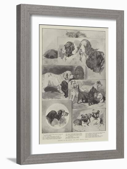 Sketches at the Kennel Club Show, Crystal Palace-null-Framed Giclee Print