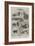 Sketches at the Kennel Club Show, Crystal Palace-null-Framed Giclee Print