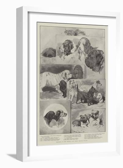 Sketches at the Kennel Club Show, Crystal Palace-null-Framed Giclee Print