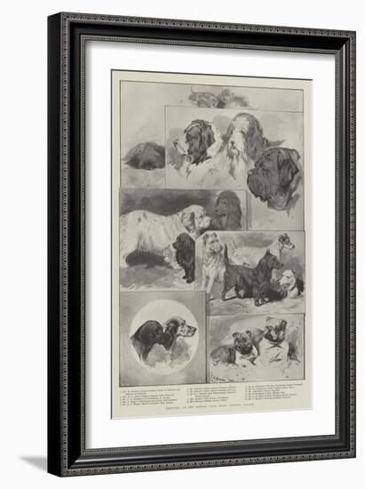 Sketches at the Kennel Club Show, Crystal Palace-null-Framed Giclee Print