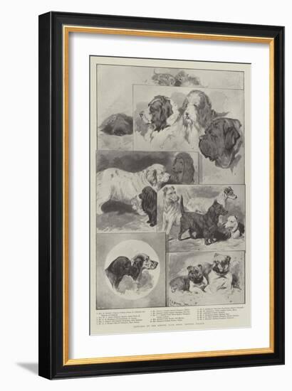 Sketches at the Kennel Club Show, Crystal Palace-null-Framed Giclee Print